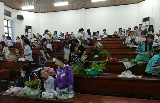 Cam hoa 2018 4