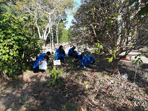 IMG 20190309 083331